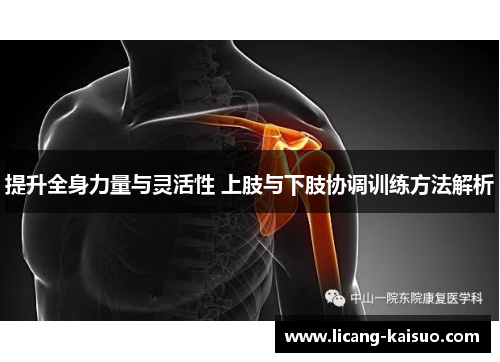 提升全身力量与灵活性 上肢与下肢协调训练方法解析