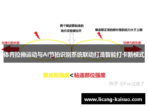 体育拉伸运动与AI节拍识别系统联动打造智能打卡新模式